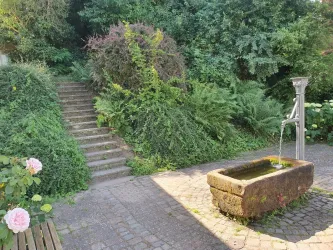 FH Brunnenblick Brunnen (© A. Blank)