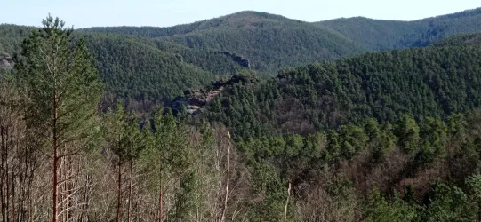 Blick zu Backelstein und Burghalder