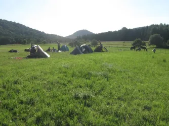 Eseltrekking IV
