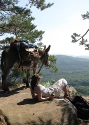 Eseltrekking II