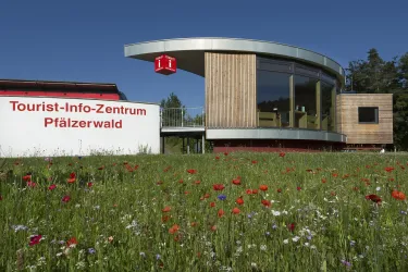 Tourist-Info-Zentrum im Sonnenschein (© Stephanie Ser)