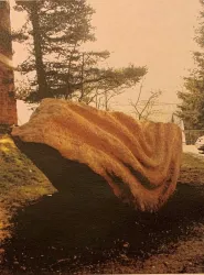 Stein des Hörens-Neidenfels (Pfalz)