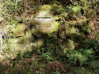 Kirschbaumbrunnen Neidenfels
