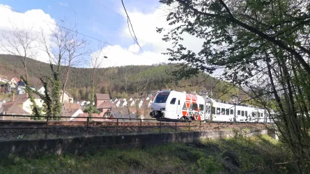 Bahnhaltestelle Neidenfels-Thomas Mann