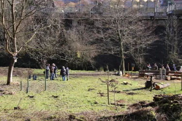 bereits gerodete Fläche im Schlangenbrunnen