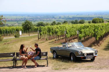 Aussicht Weinberge (© Carolin Wolf)