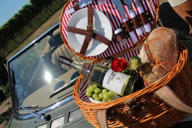 Picknick Korb (© Carolin Wolf)