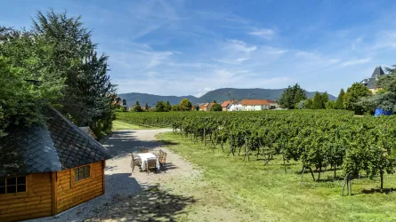 Cotta Blick auf den Pfälzer Wald