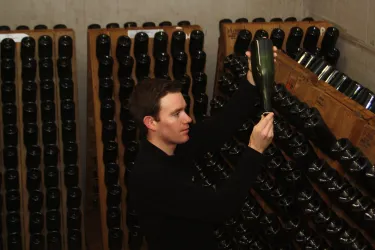 Weinkeller (© Weingut Bourdy)