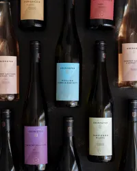 Weingut Oberhofer Weine (© Weingut Oberhofer)