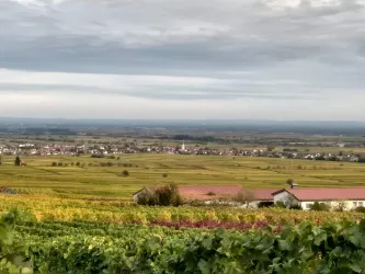 Edesheim im Herbst (© C. Anselmann)