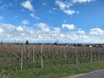 Edesheim im Frühling (von Westen) (© C. Anselmann)