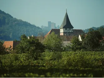 Blick auf Ranschbach