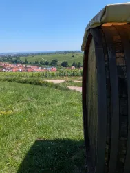 Aussicht Richtung Ranschbach