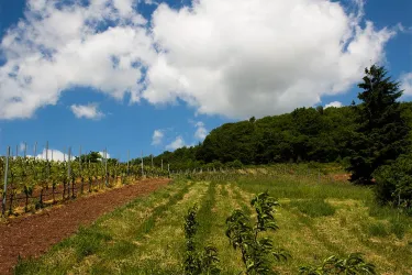 landschaft1