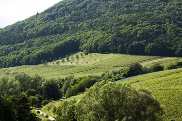landschaft5