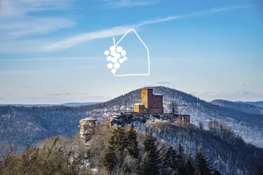 Pfälzerwald im Winter