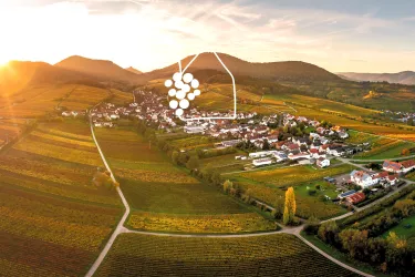 Ferienhaus zwischen Weinbergen und Pfälzerwald