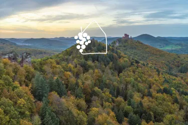 Pfälzerwald im Herbst