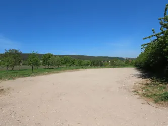 Parkplatz Leistadter Straße Bild 1 (© Urlaubsregion Freinsheim)
