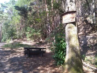 Thüringer Rastplatz, Bild 1 (© Lutz Fütterling)