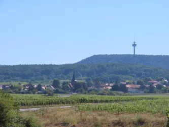 Ansicht auf Weisenheim am Berg (© Urlaubsregion Freinsheim - E. Metzger)