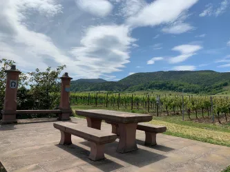 Dalbergerbank am Wein- und Steinlehrpfad (© Tourist-Info St. Martin)