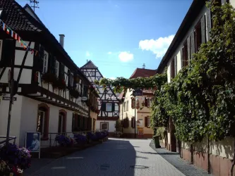 Lärchengasse 17_001