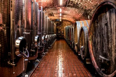 Weingut Winfried Seeber_Fasskeller