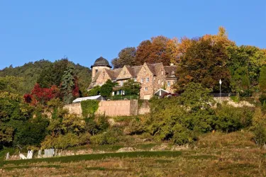 Kropsburg (© Tourist-Info St. Martin)