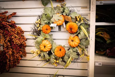 Herbst Türkranz (© Oxana Melis_Unsplash)
