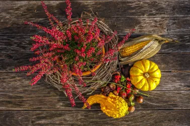 Herbst Deko (© Marci Marc Pixabay)