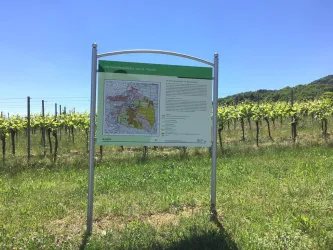 Wein- und Steinlehrpfad Weinbergsböden (© Tourist-Info St. Martin)