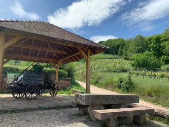 Steinbank am Burgweg (© Tourist-Info St. Martin)