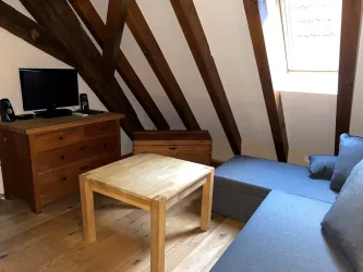 Küferhof Fernseher (© Jasmin Schlimm-Thierjung)