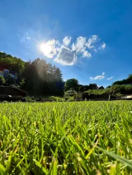 Blick vom Garten