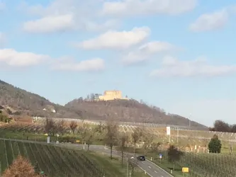AusblickApp1Frühjahr (© by LHC)
