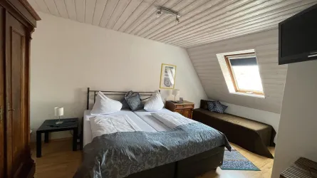 App_3_Gänse