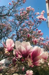 Frühling_2021