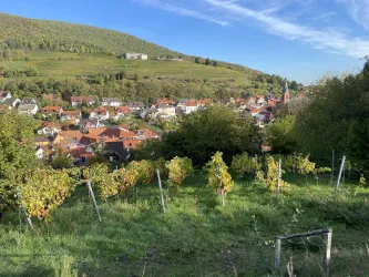 Herbst_2022