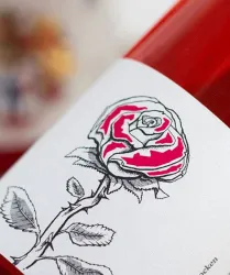 Christ-Rose