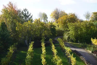 AusblickGartenNovember (© by LHC)