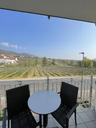 Ausblick_Frühjahr_Zi_1