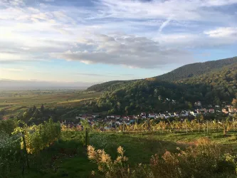 Ausblick Wingertsberg (© TI St. Martin)