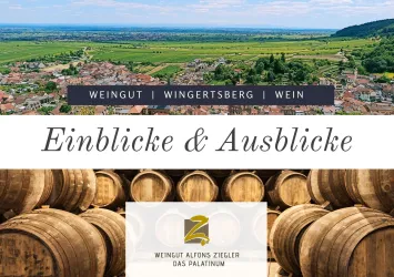 Weinberg (© Weingut Ziegler)