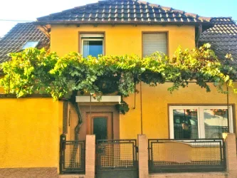 REBENHAUS Eingang mit 120 jähriger Rebe