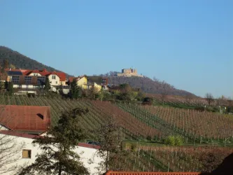 Blick auf das Hambacher Schloss