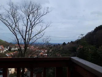 Aussicht (© Baumhaus St. Martin)