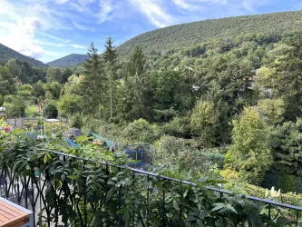 Herbstlicher Ausblick Balkon