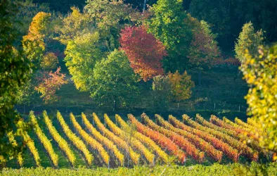 St. Martin im Herbst (© Kai Rieth)